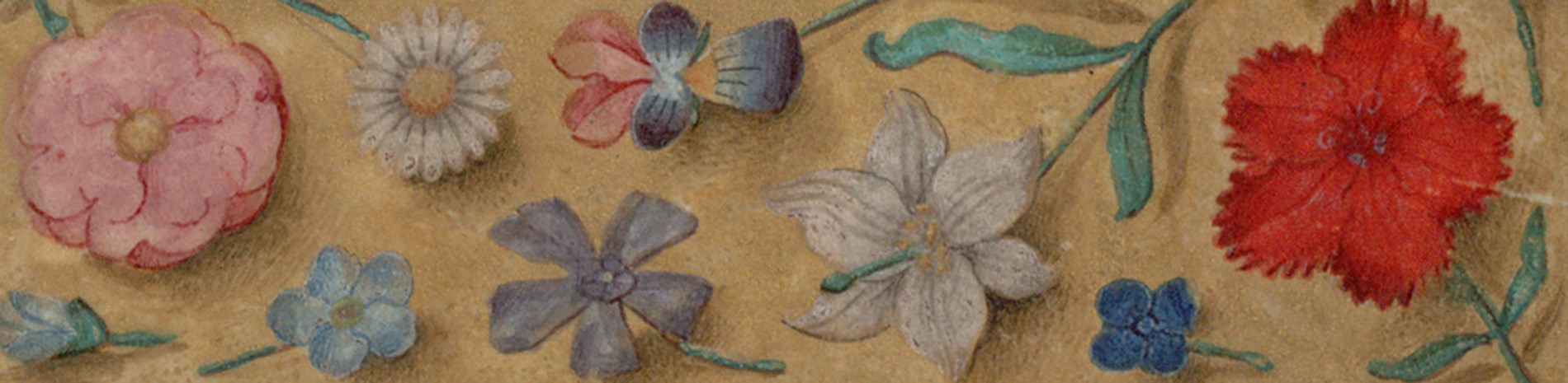 A close-up of an illuminated manuscript showing flowers on a washed yellow background.