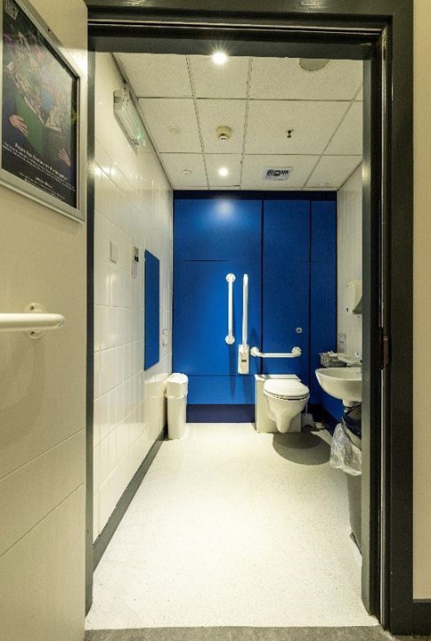 Interior photo of an accessible public bathroom.